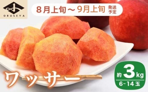 ワッサー 約3kg 6～14玉 ［小布施屋］ フルーツ 果物 長野県産 信州産 クール便 冷蔵便 数量限定 産地直送 令和8年産 【2026年8月上旬～9月上旬発送】［A-54］