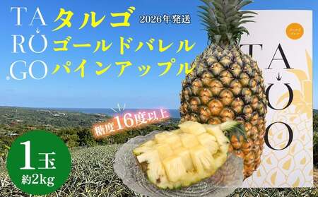 東物産「TARUGO」約2kg（1玉）白箱／贈答用