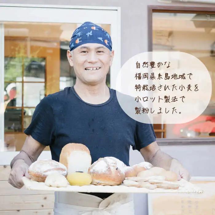 【 糸島産 小麦 使用 】 伊都 の みのり ( 強力粉 ) 5kg 《糸島》【天然パン工房楽楽】【 いとしまごころ】 [AVC061]