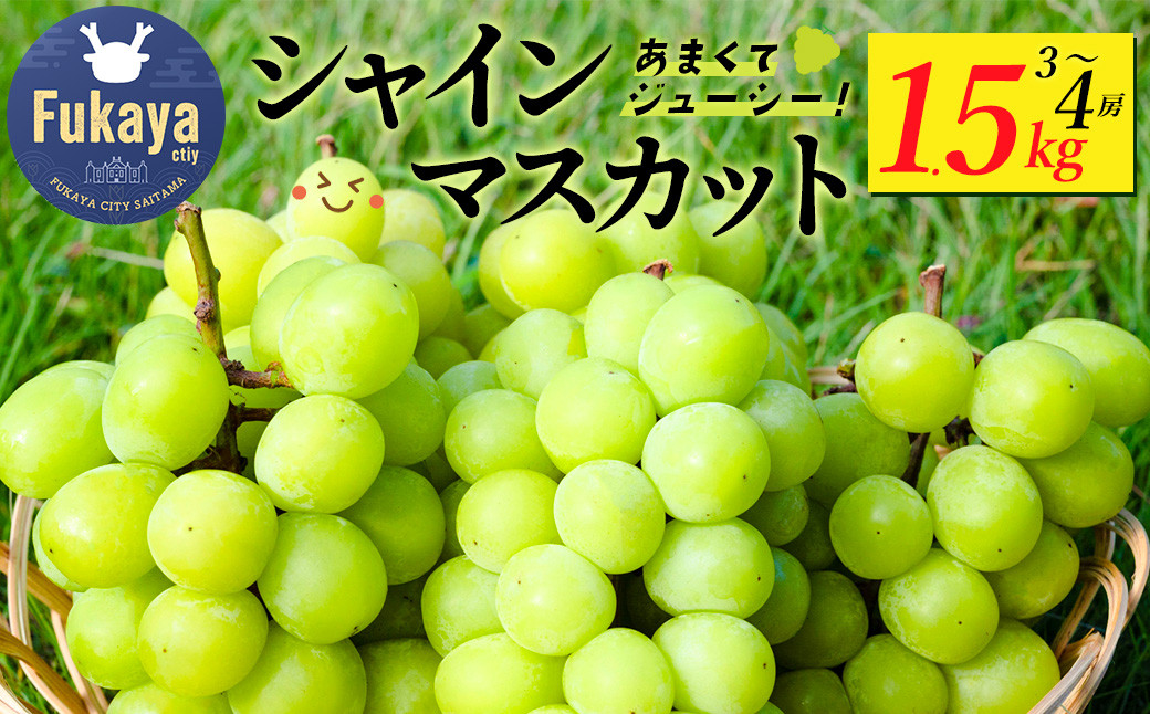 
            〈先行予約〉【訳アリ】シャインマスカット　1.5kg　【11218-0922】
          