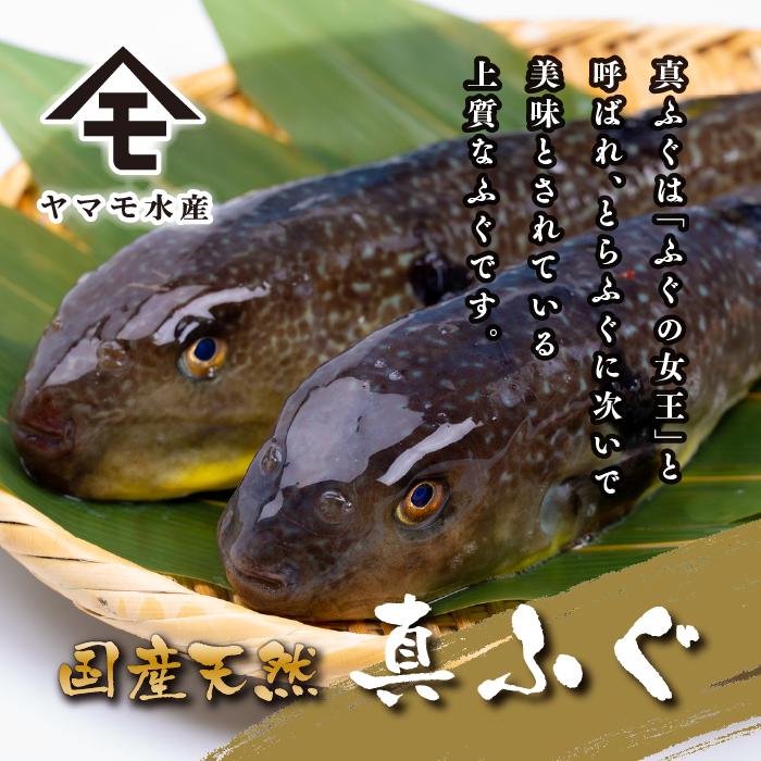 【 下関市2021年度申込数1位！】 ふぐまるごと満喫セット 4〜5人前 霜降り 刺身 150g 冷凍 まふぐ 真ふぐ 鍋用切身 とらふぐ 身皮 唐揚げ 白子豆腐 煮ごこり 焼き ひれ てっさ てっち