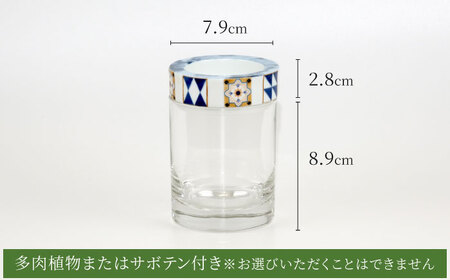 【美濃焼】SaiSui Morocco（Blue＆White）植物付き【大東亜窯業】インテリア 雑貨 観葉植物 多肉植物 サボテン グリーン 水で育てる 省スペース 手軽 簡単 初心者 写真映え かわ