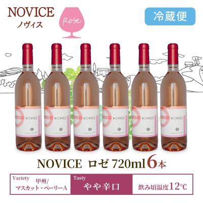 ふるさと納税 笛吹市 ロゼワイン NOVICE ロゼ 720ml×6本 フルボトル 日川中央葡萄酒 山梨県 笛吹市 |  | 02