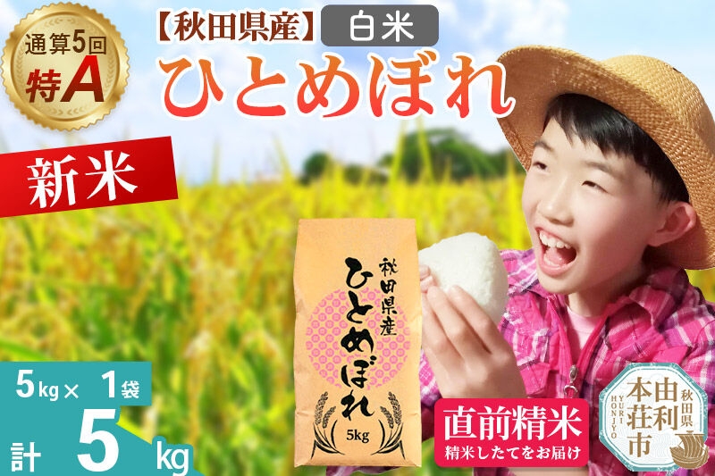 
                  《令和8年産 新米受付》《1回のみお届け》【白米】通算5回特A 秋田県産ひとめぼれ 5kg(5kg×1袋) お米 米 こめ 藤岡農産 [米 白米 特A 精米 秋田県 東北 お米 ひとめぼれ 小袋 小分け 直前精米 おいしい米 おすすめ]
                