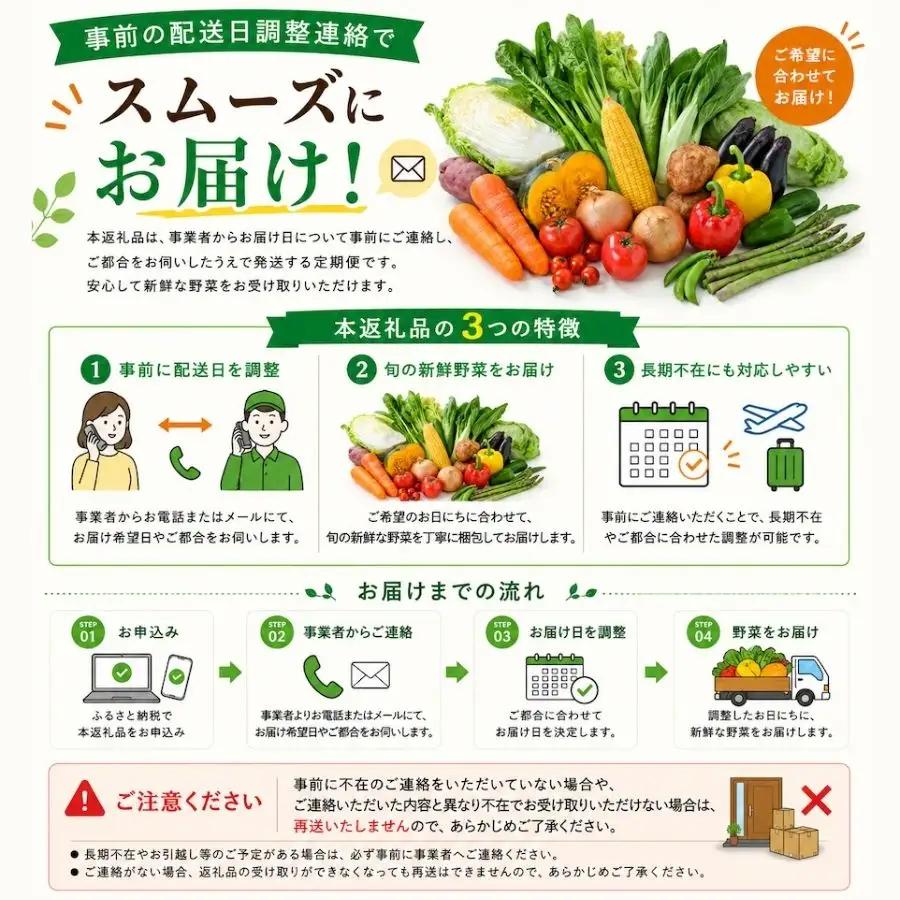 旬の野菜セット 2ヶ月の定期便　【 朝どれ 野菜 やさい 新鮮 】