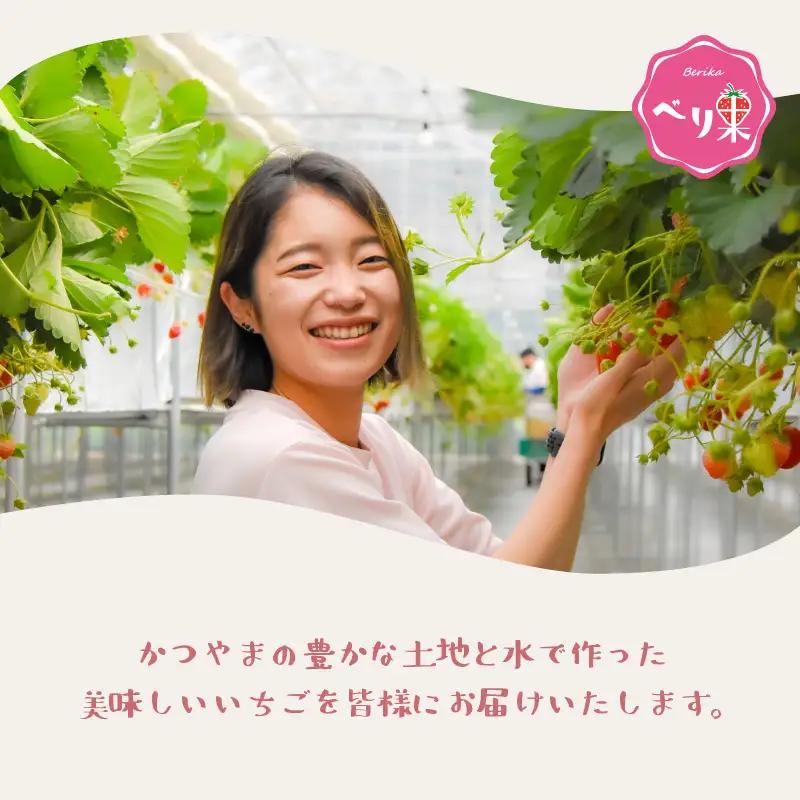 アイスクリーム 3種セットアイス