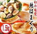 【ふるさと納税】鹿島灘特産★ブランド地はまぐり（中盛り 1.5kg ） BBQ 貝類 海鮮 海産物 はまぐり 蛤 ハマグリ 特盛 人気 ブランド 特産 鹿島灘 鹿嶋市 茨城県 送料無料 産地直送 （KBL-4）