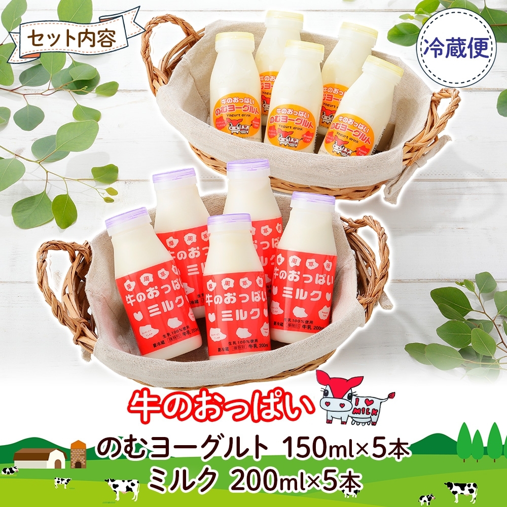 786.牛のおっぱいミルク  のむヨーグルト 計10本 飲み比べ セット 牛乳 生乳 ミルク 牛 ヨーグルト お取り寄せ ギフト gift 渡辺体験牧場 まとめ買い 北海道 弟子屈町_イメージ5