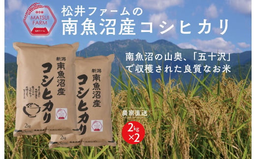 【令和6年産新米予約】【定期便（無洗米）】南魚沼産コシヒカリ（4kg×6回)