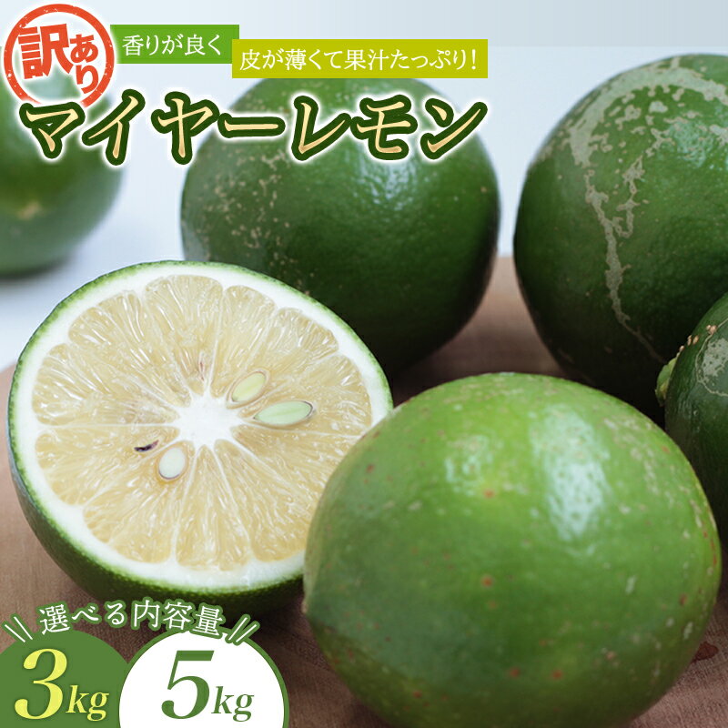 【ふるさと納税】 訳あり 国産 数量限定 マイヤーレモン 3kgまたは5kg 【2025年10月～2026年1月下旬の期間で順次発送】 / レモン 国産 マイヤーレモン 数量限定 訳あり