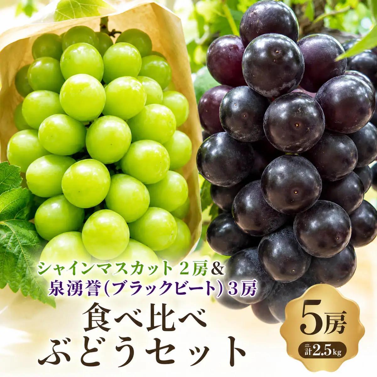 ぶどうセットシャインマスカット泉湧誉 2品種食べ比べ 種なしぶどうセット【5房計2.5kg】【先行予約】