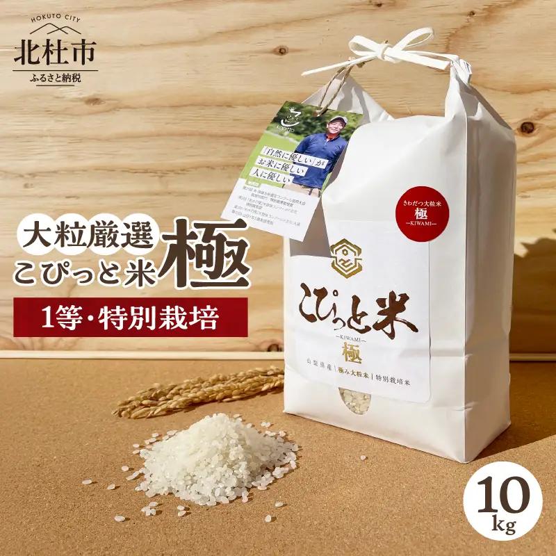 【令和7年度米】こぴっと米【極】10kg 大粒厳選・1等特別栽培米 100％ 米 精米 令和7年産 北杜市産 お米  八ヶ岳 [h020]