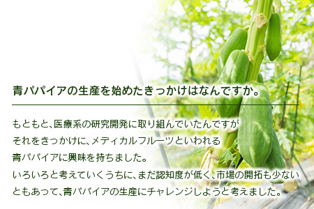 青パパイヤ お試し1kgセット 酵素の王様・健康万能野菜 パパイア王子厳選 宮崎県産【A334】