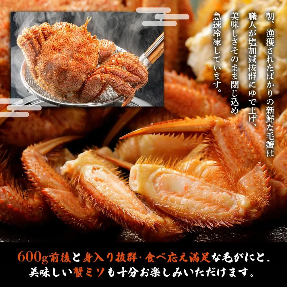 【北海道雄武町産】毛がに（冷凍）(600g前後×1)【1240702】
