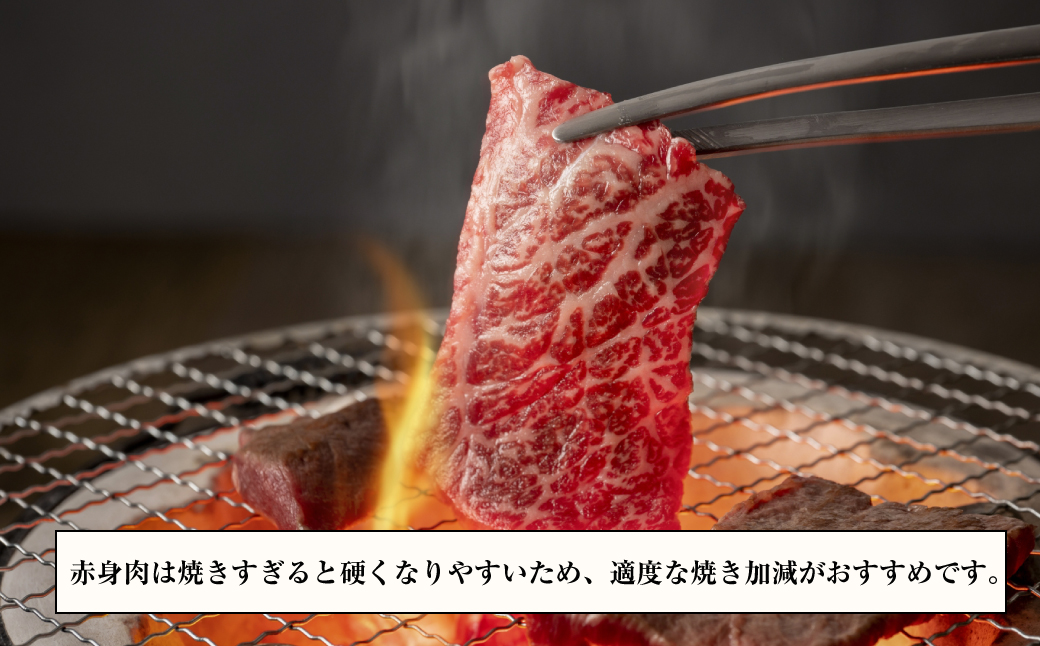 淡路牛 赤身焼肉セット 1kg（500g×2P) 【3D急速冷凍】 　　[焼肉 赤身 焼肉 赤身肉 焼肉セット 牛肉 焼肉]