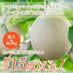 【0926-3】やまの農園 感謝のメロン~一期一会「べんけい」~≪先行予約≫【2026年7月中旬より順次発送予定】