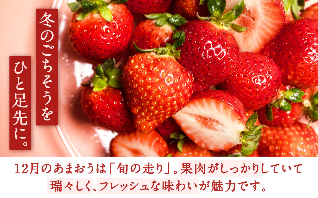 福岡県産特産品 うまもぐ厳選果物 福岡県産 博多あまおう DX上級品 約500g（約250g×2パック入り）【2025年12月発送】あまおう いちご 苺 イチゴ 果物 フルーツ