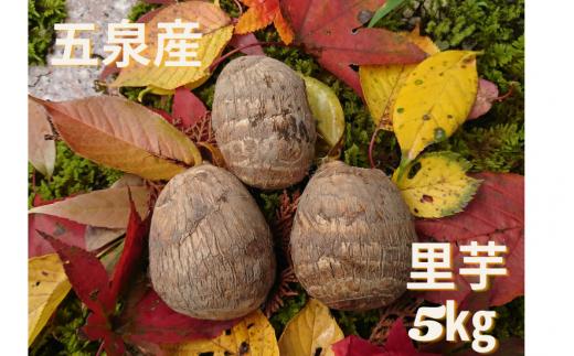【12/20決済分まで年内配送】 五泉産 里芋 5kg  ※M～Lサイズ混合 新潟県 五泉市 株式会社蛇場農産