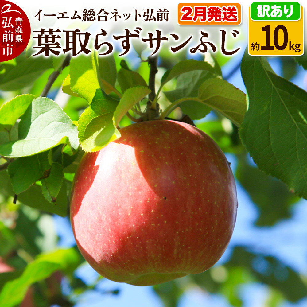 【ふるさと納税】【2月発送】りんご【訳あり】葉取らず サンふじ 約10kg 糖度 13度以上 EMりんご