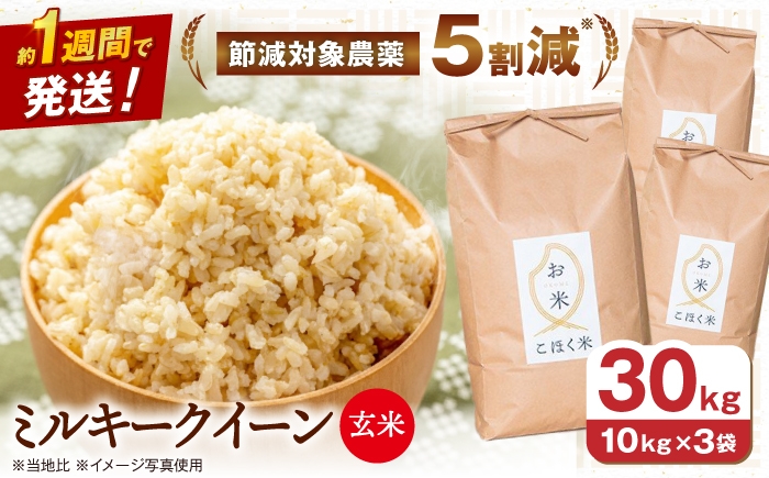 
                  【スピード発送】【令和7年産】米 湖北産 ミルキークイーン 30kg 玄米 長浜市/エース物産 [AQAK015] 米 お米 ご飯 玄米 ミルキークイーン 近江米 滋賀県産 長浜市産 こめ 玄米 お米 食品 国産 炊きたて 米ギフト もちもち ブランド米 食卓 人気 ごはん ご飯 おにぎり 炊き込みご飯 おすすめ
                