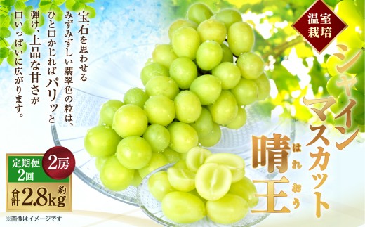 [HS]【2回定期便】温室 シャインマスカット 晴王 2房（合計約1.4kg）【2026年7月上旬～8月下旬】マスカット 葡萄 ぶどう ブドウ フルーツ 果物 くだもの デザート 冷蔵 岡山県 倉敷市