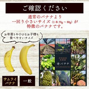 【訳あり】高知県産 侍バナナ｜無農薬・国産・農家直送 手のひらサイズ 7本  バナナフルーツ バナナ サムライ スムージー ふるさと納税