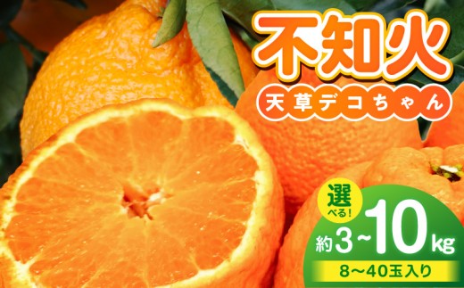 
                  S153-001-sku_天草産 不知火 選べる 内容量 約3kg ～10kg
                