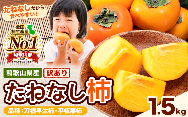 【ご家庭用/訳あり】たねなし柿 約1.5kg《2026年9月中旬-11月上旬頃より出荷予定》 和歌山県 紀の川市 柿 カキ かき ジューシー フルーツ---wfn_wlocal62_9c11j_25_