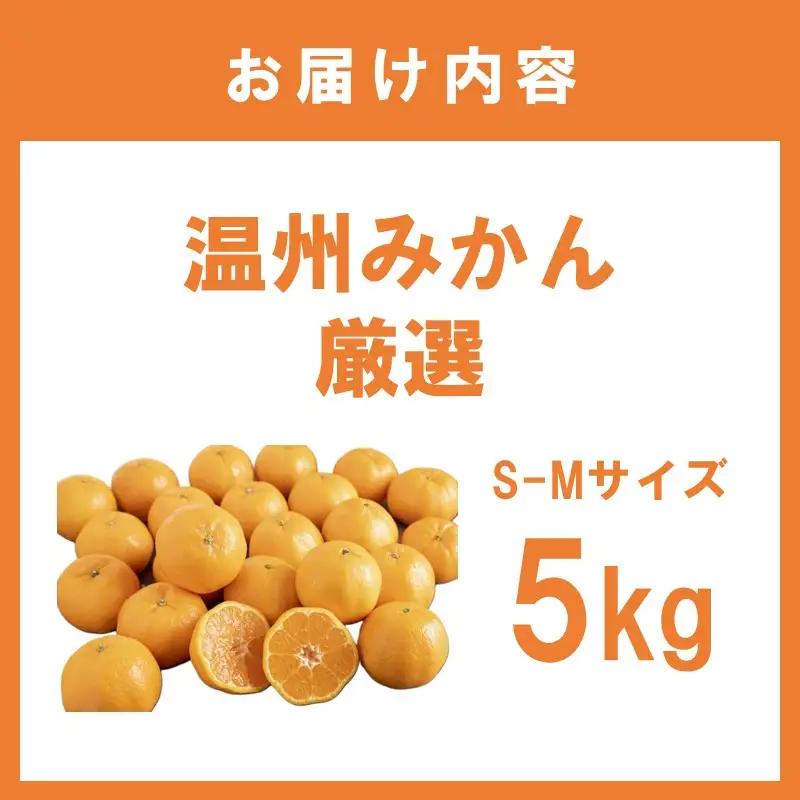 温州みかん厳選(S-Mサイズ)　5kg【1003-3】