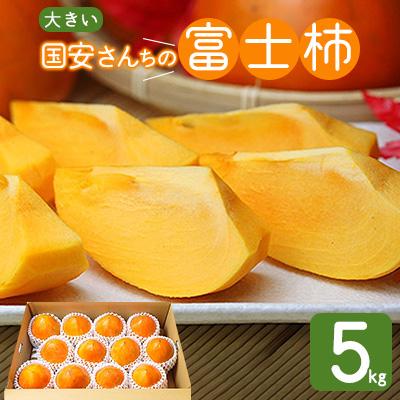 ふるさと納税 八幡浜市 《八幡浜特産 国内最大級の 柿》 富士柿 5kg 種無し【C20-21】
