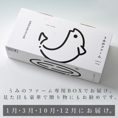 ふるさと納税 大月町 【定期便4回】冷蔵 養殖ぶり 2柵 セット 朝〆 鰤 ブリ 刺身 生食用 高知県 大月町 産地直送 |  | 03