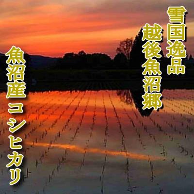 ふるさと納税 魚沼市 【毎月定期便】雪国逸品 《無洗米》10kg　越後魚沼郷 魚沼産コシヒカリ全12回 |  | 02