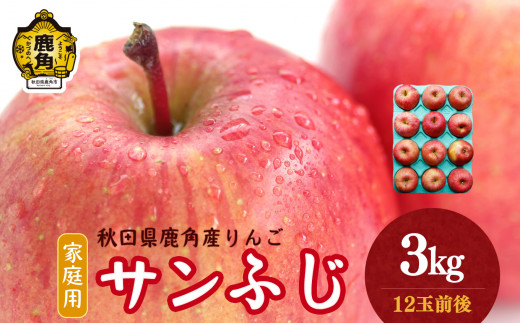 《訳あり》秋田県鹿角産りんご「サンふじ」家庭用 小玉 3kg（12玉前後）【田村果樹園】　農家直送 産地直送 応援 りんご リンゴ 林檎 フジ ふじ 訳 完熟 さっぱり アップルパイ スムージー 甘い 栄養 健康 秋田県 秋田 あきた 鹿角市 鹿角 かづの 3KG 3㎏