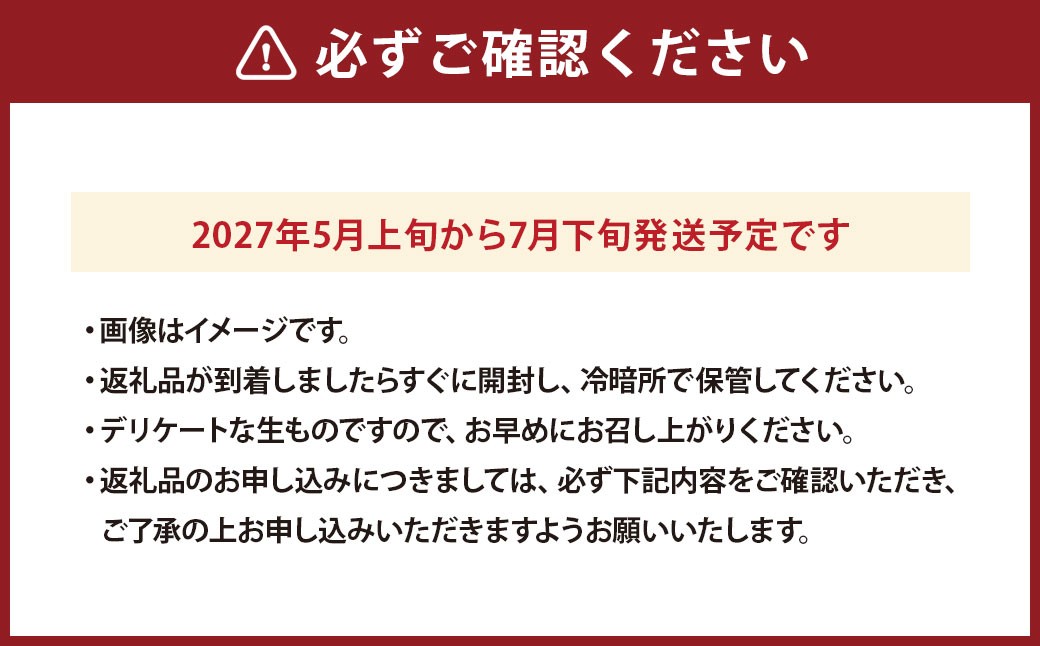 スイカ肥後漫遊（2玉）2Lサイズ