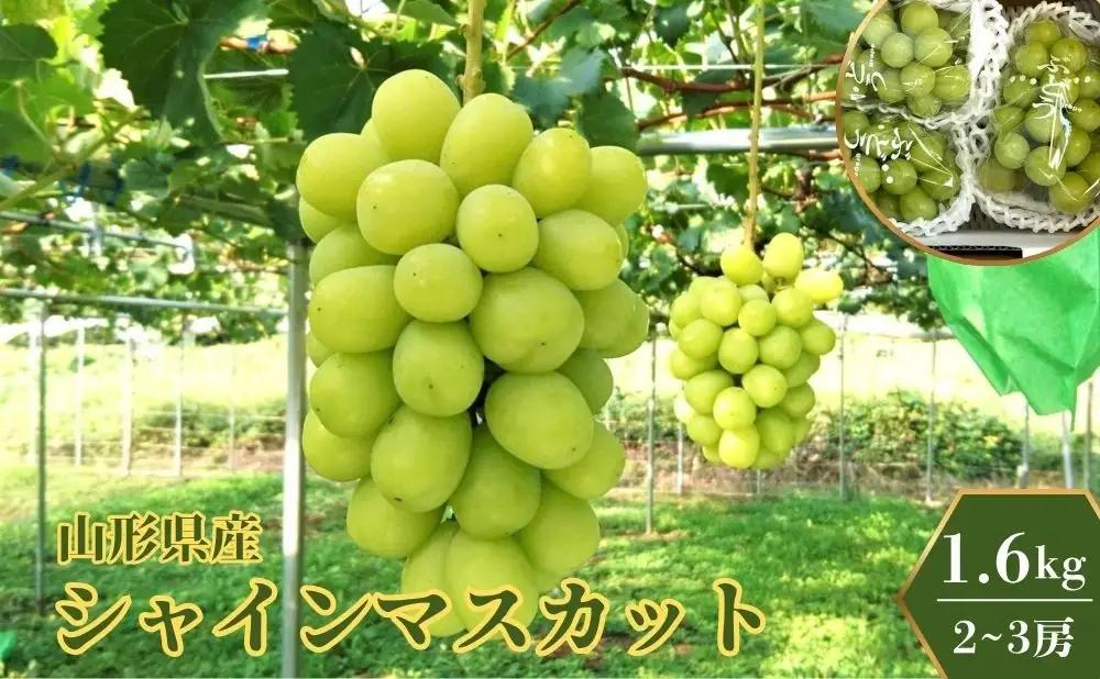 ぶどう（シャインマスカット）１.６ｋｇ　0009-2608