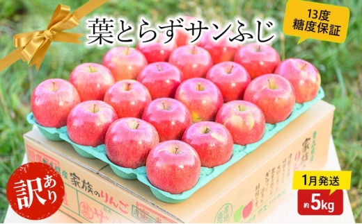 【 1月発送 】糖度13度以上 訳あり品 家庭用 葉とらず サンふじ 約 5kg 【 青森りんご 】 果物 フルーツ 食後 デザート 青森県産 産地直送