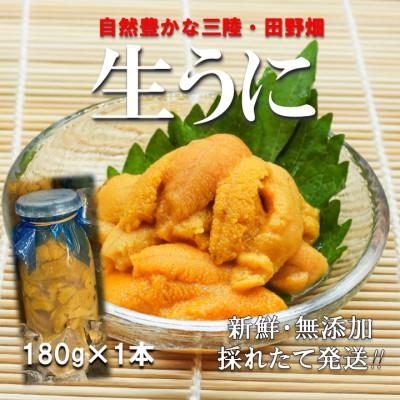 ふるさと納税 田野畑村 【予約・7月中旬〜発送】三陸生うに　180g×1本　国立公園・田野畑村から(瓶入りミョウバン不使用)