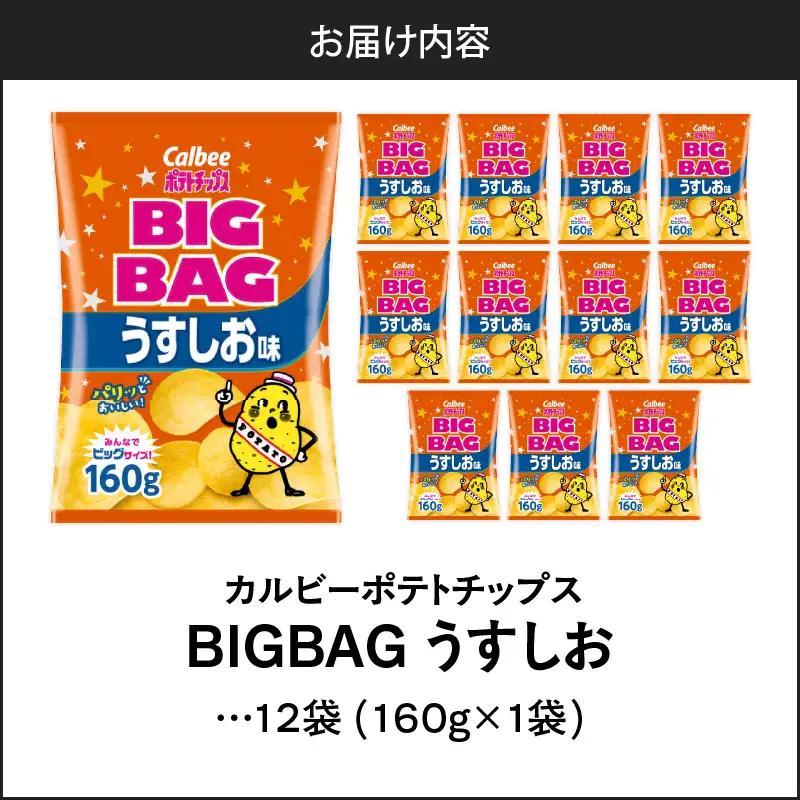 カルビー ポテトチップス BIGBAG【うすしお】12袋 K194-002_04 菓子