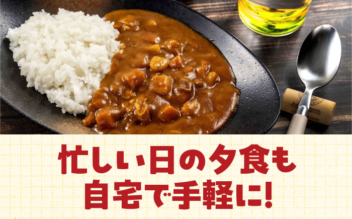 一皿の贅沢！料理長が作ったレトルトカレー「ボングスタ！」3種詰め合わせ6個セット　愛媛県大洲市/ラヴィーナ姫路 [AGAM001]レトルトカレー カレーライス ランチ キーマカレー チキンカレー ビー