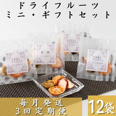 【ふるさと納税】【毎月定期便】枕崎産ドライフルーツミニギフトセット12袋 感謝御礼 お礼 贈り物LL-6044全3回【4050457】