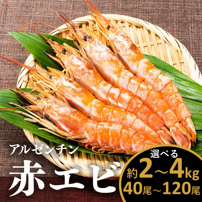 【ふるさと納税】【お刺身用】有頭赤海老 （選べる：2kg〜4kg）