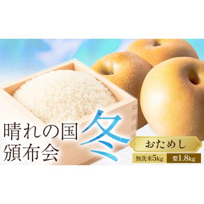 ふるさと納税 笠岡市 晴れの国頒布会 冬 おためし 無洗米 5kg 梨 1.8kg