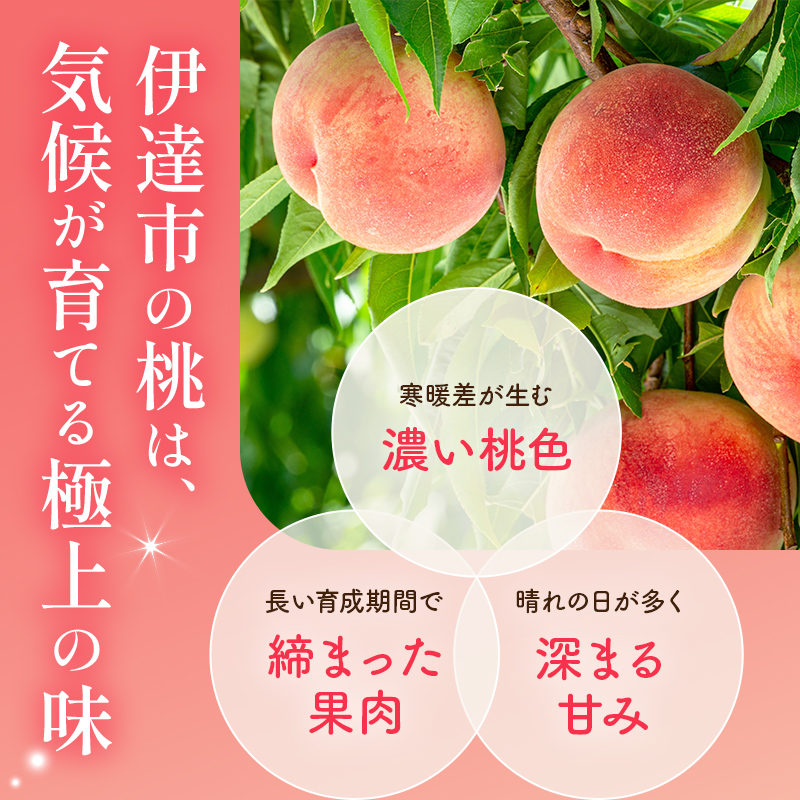 3代目の女性の農家が作る桃あかつき 約5kg（18～22玉） 桃 もも モモ 果物 くだもの フルーツ 国産 食品 F21C-129