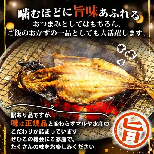 【2026年8月発送】 訳あり干物 約1.8kg 干物