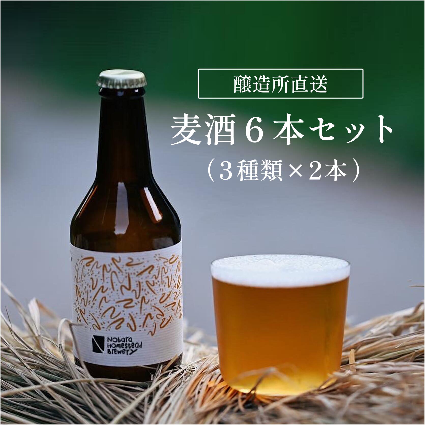 【ふるさと納税】信州青木村産クラフトビール　6本セット