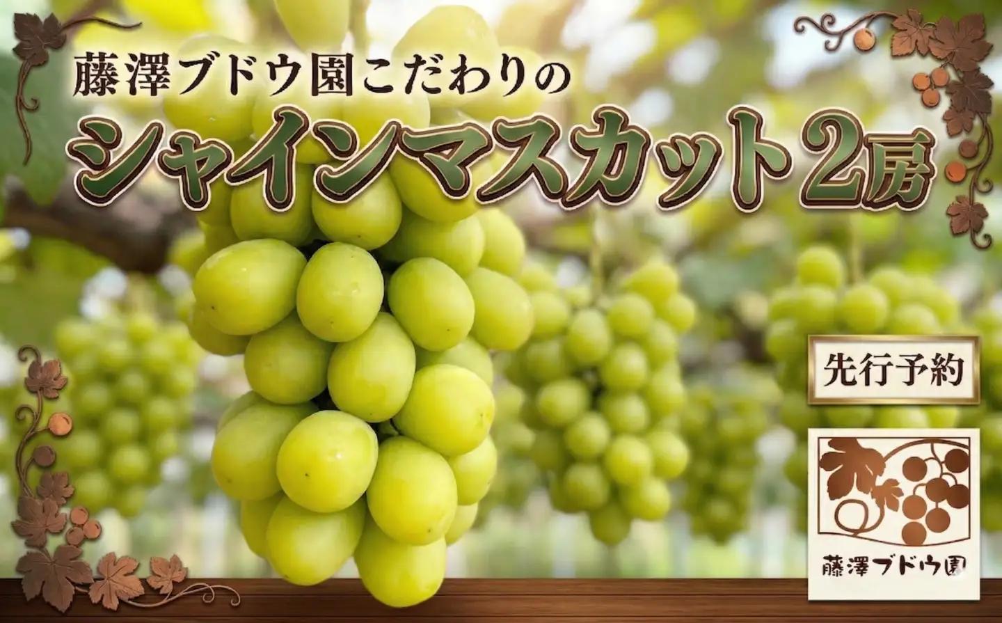 【シャインマスカット】 約1.4kg 2房 産地直送 ぶどう フルーツ 人気 マスカット ブドウ  【 藤澤ブドウ園 】