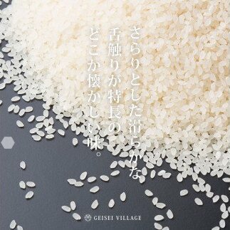 先行予約 新米 コシヒカリ 15kg (5kg×3袋) 芸西米 げいせいまい 令和7年産 15キロ 米 こめ コメ こしひかり 精米 白米 お米 おこめ ご飯 国産 通販 お取り寄せ 送料無料_イメー