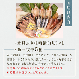 氷見 堀与おすすめ一夜干5種と氷見鰤味噌漬け 富山県 氷見市 干物 詰め合わせ 食べ比べ セット ブリ ぶり 切り身