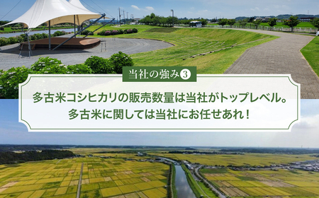 【令和7年産】多古町産いのちの壱 精米5kg_ 精米 米 _【配送不可地域：離島・沖縄県】 TAKE004