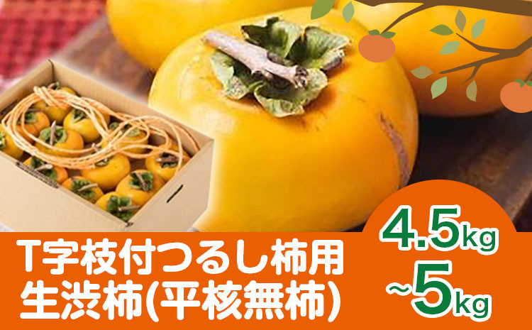 
            T字枝付つるし柿用生渋柿 4.5～5kg ふるさと農園《10月中旬-11月下旬頃出荷》 和歌山県 日高町 
          